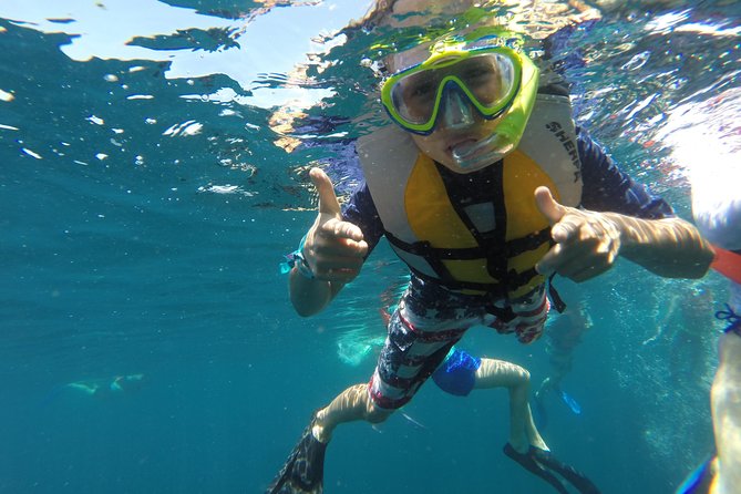 Private Snorkeling Tour in Cabo San Lucas - Tour Overview and Itinerary