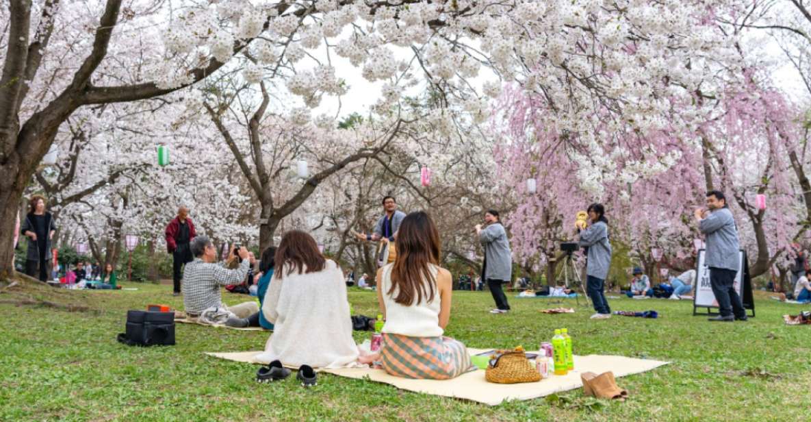 Private & Unique Kanazawa Cherry Blossom "Sakura" Experience - Experience Highlights