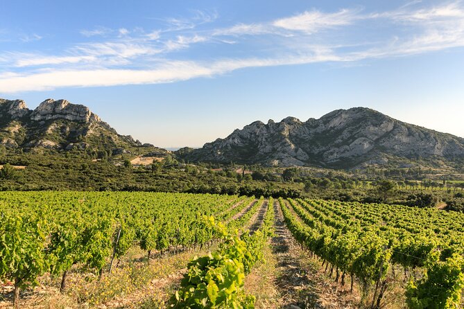 Provence and Wine Tasting by E-Bike From Saint-Rémy-De-Provence - Itinerary Highlights