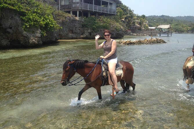 Roatan Horseback Riding, Zip Line Monkey/Sloths and Snorkel - Customer Reviews Analysis