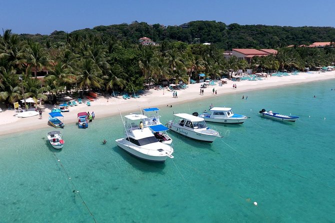 Roatan VIP Free-Style Private Tour - Reviews and Ratings