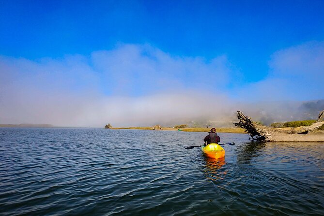 Russian River Kayak Tour at the Beautiful Sonoma Coast - On-Water Experience Highlights