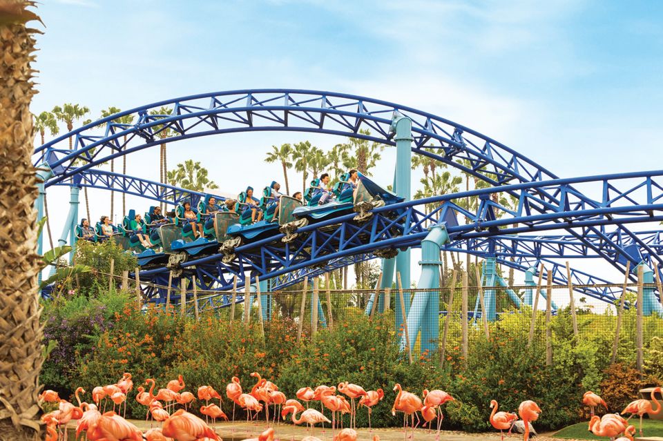 San Diego: SeaWorld Skip-the-Line Park Admission Ticket - Accessibility and Highlights