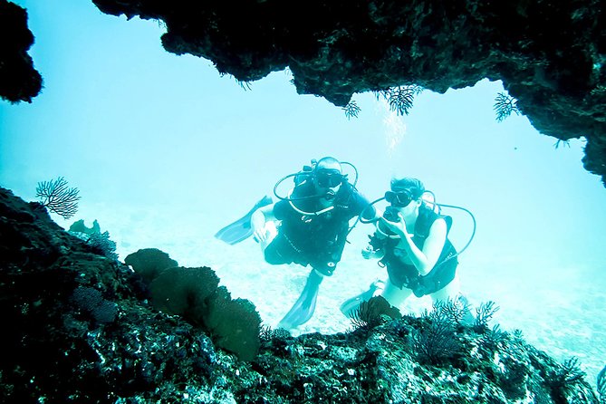 Scuba Diving Marietas Islands - Confirmation and Restrictions