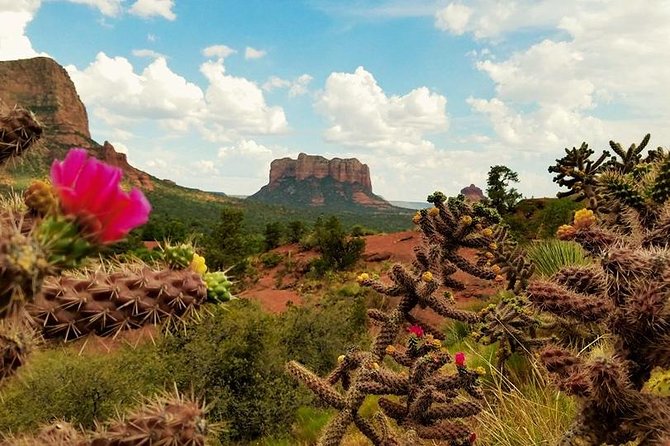 Sedona Day Trip From Phoenix - Art and Culture at Tlaquepaque Village