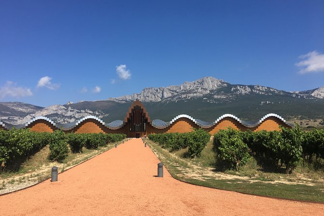 Semi-Private La Rioja Tour of 3 Premium Wineries From Bilbao - Customer Reviews