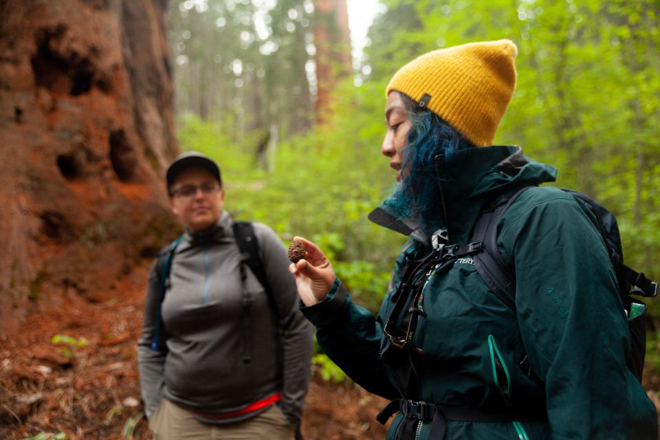 Sequoia & Kings Canyon National Parks: Two-Day Private Tour - Experience Highlights & Inclusions