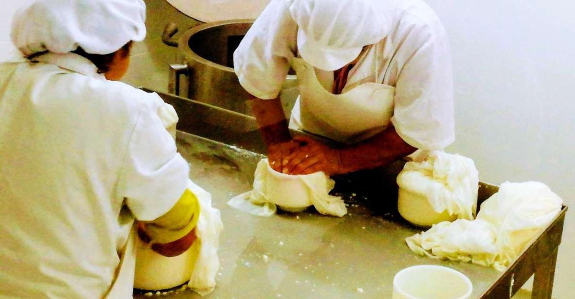 Serra Da Estrela, Cheese Factory, Bread Museum & Embroidery - Itinerary Highlights