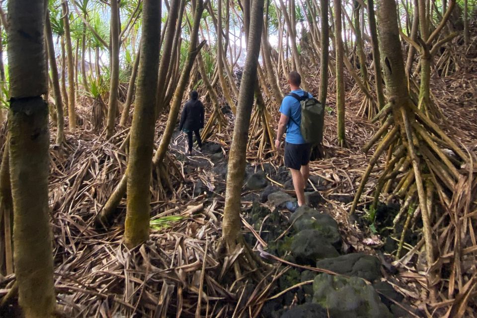 Short Private Hike To Secret Jungle Tide Pool - Itinerary