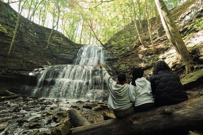 Small-Group Waterfalls Tour From Toronto, Niagara Escarpment - Waterfalls Characteristics and Appeal