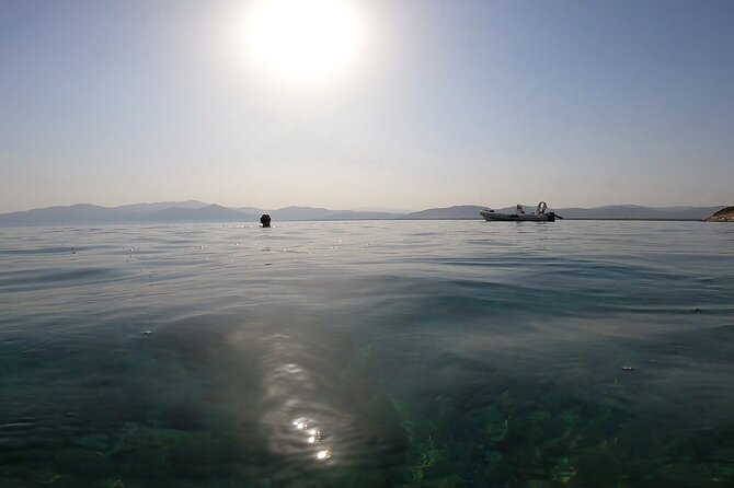Snorkeling Boat Excursions in Nea Makri Athens - Traveler Feedback Summary