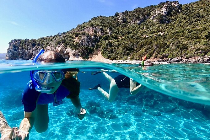 Snorkeling Experience to Discover the Dolphin Inside You! - Discovering Marine Life Underwater