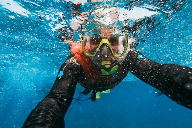 Snorkeling in Gran Canaria With Hotel Pick-Up - Location