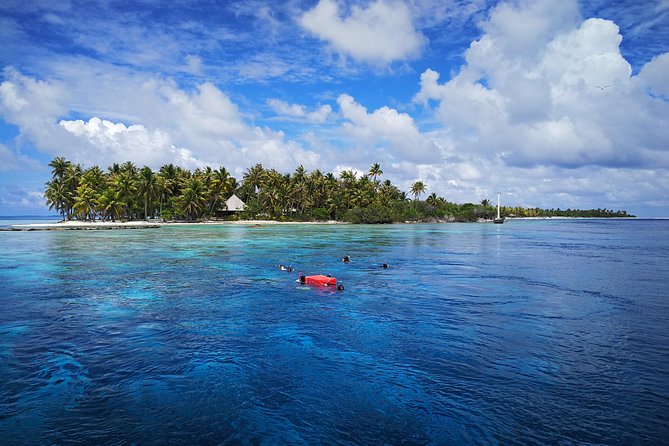 Snorkeling in the Pass - Booking Confirmation and Requirements