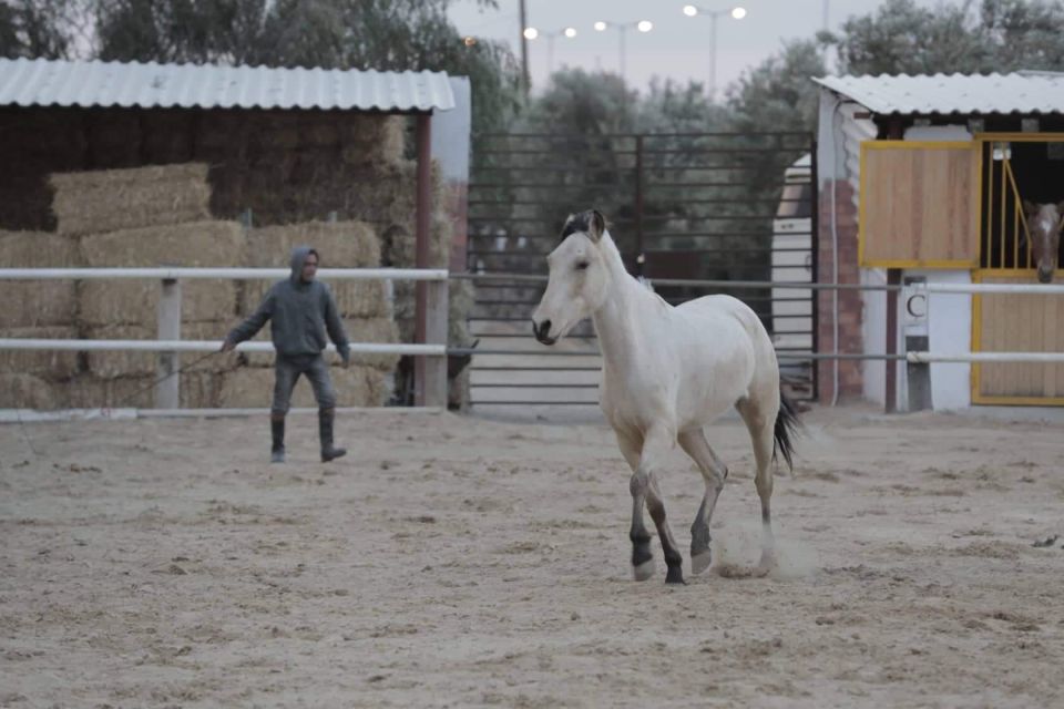 Sousse/Monastir: Private Horseback Riding Trip With Transfer - Trip Highlights