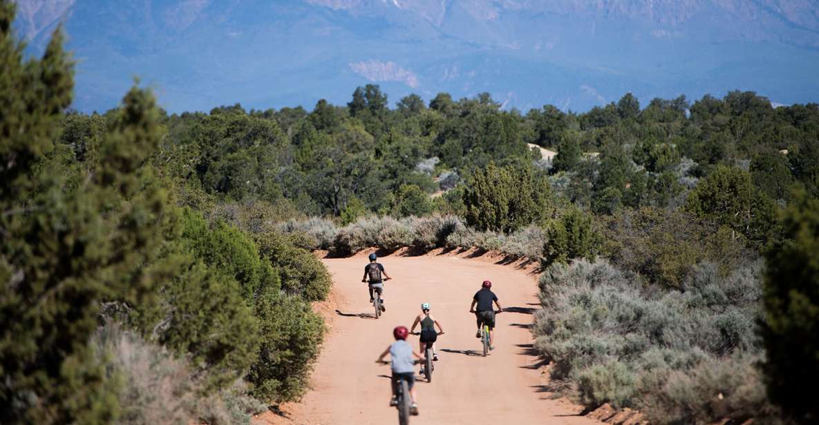 Springdale: Half-Day Mountain Biking Adventure - Experience