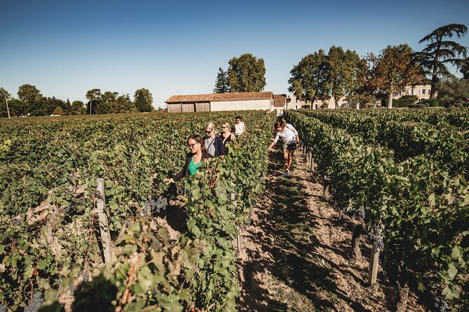 St-Emilion Half Day Morning Tour With Wine Tastings - Wine Tasting Schedule