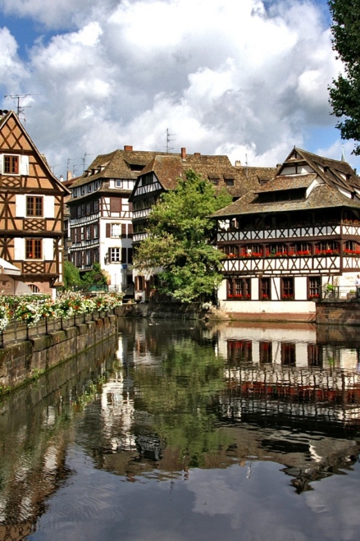 Strasbourg : Gourmet Bike Tour With a Local - Activity Description