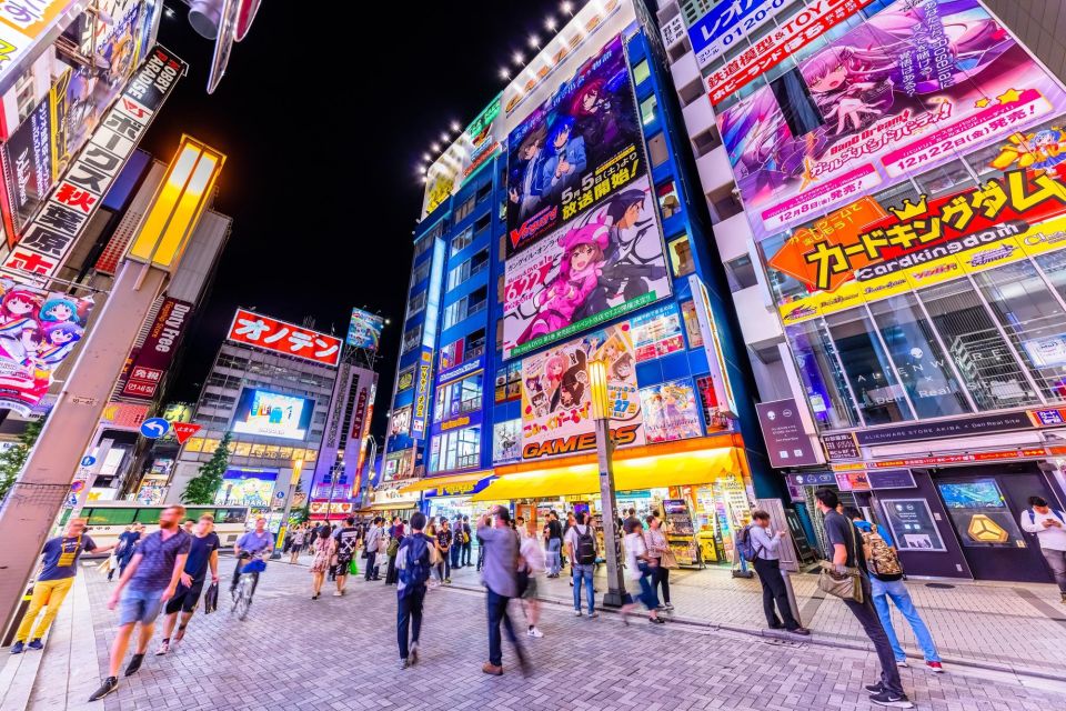 Tokyo: Anime&Otaku Private Tour With Expert English Guide - Highlights