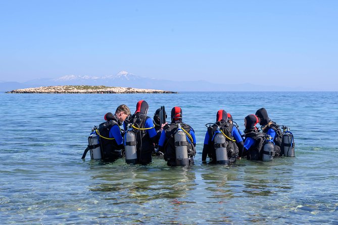 Try Scuba Diving, Beginners Experience - Professional Instruction and Supervision