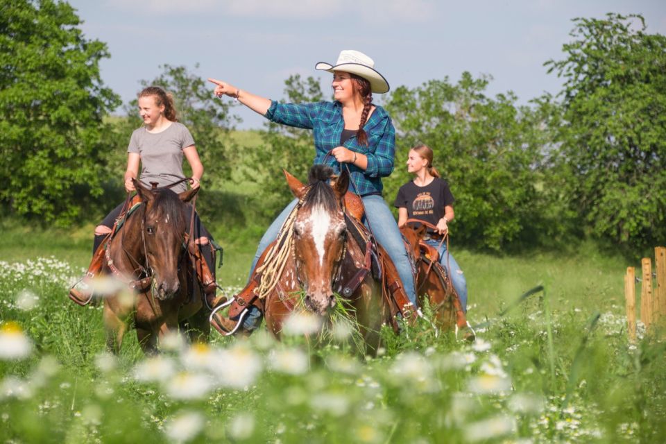 Upper Austria: Landscape, Forests, Meadows - Exploring the Forests