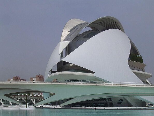 Valencia City of Arts & Sciences Tour With Rooftop Wine Tasting and Tapas - Tour Highlights