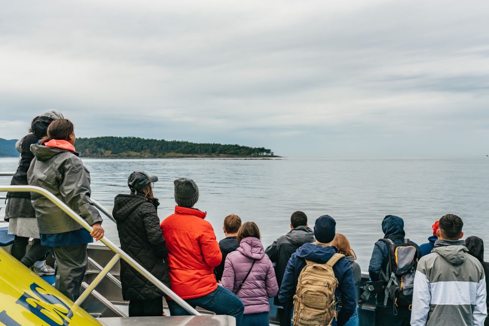 Vancouver, BC: Whale Watching Tour - Experience Highlights and Tour Options