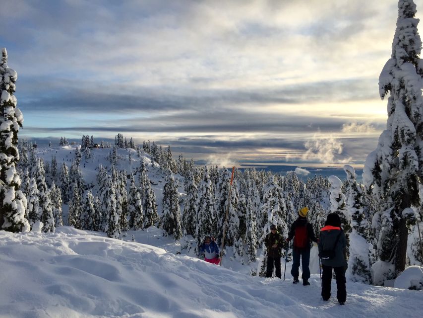Vancouver: Panoramic View Snowshoeing Tour - Tour Experience