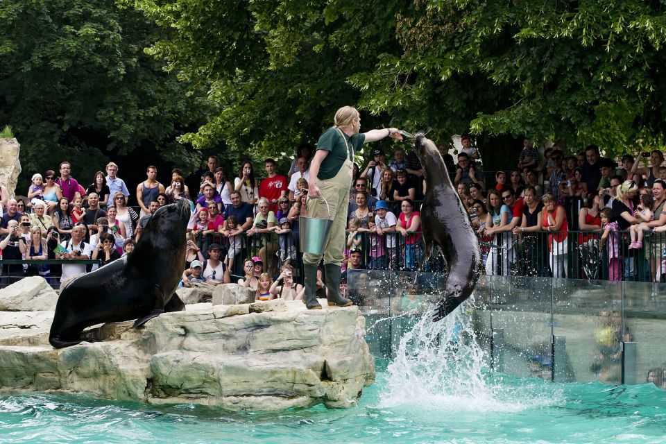 Vienna: Skip-the-line Tickets for Schönbrunn Zoo - Experience Highlights
