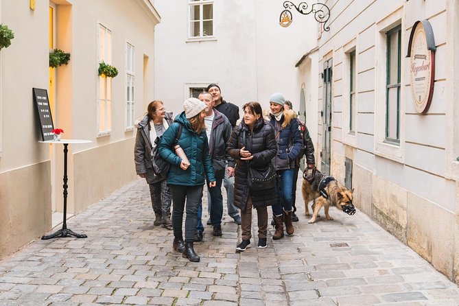 Vienna Small-Group Walking Tour on Poverty and Homelessness - Tour Overview