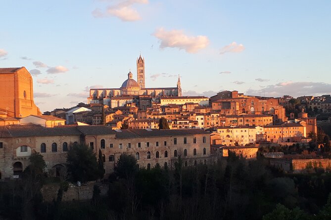 Walking Tour of Siena With Food & Chianti Wine - Meeting and Logistics
