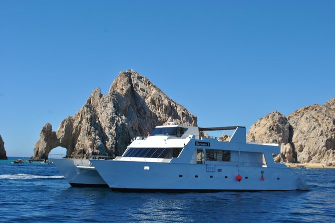 Whale Watching Cruise in Los Cabos - Booking Options and Discounts