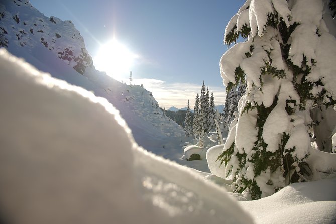 Whistler Small-Group Full-Day Snowshoe Tour - Tour Inclusions