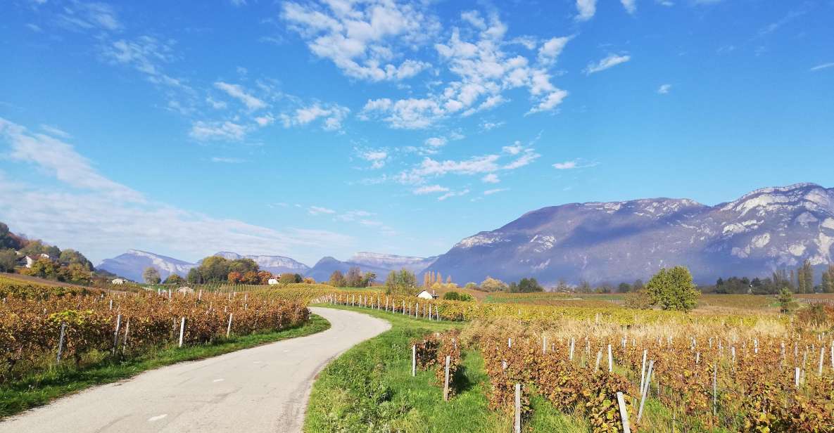 Wine Tour With Private Driver - Meet Savoie Winemakers