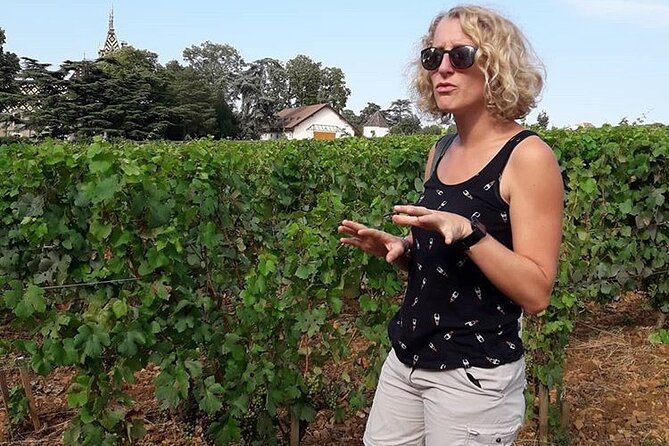 Wine Walking Tour Through the Burgundian Vineyards - 2h - Vineyard Exploration