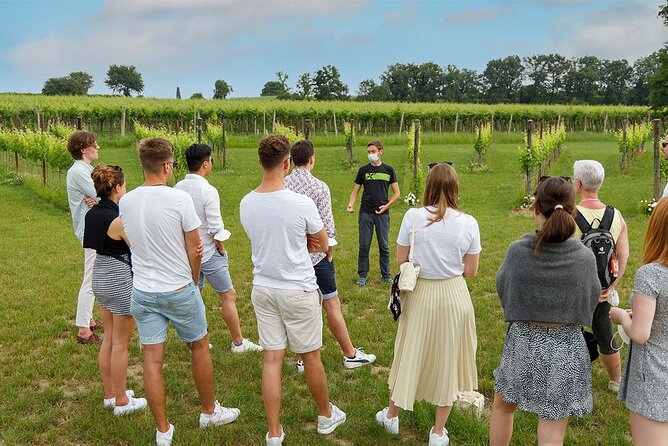 Winery Tour and Tasting of Garda Wines in Lazise - Mobile Ticket Convenience