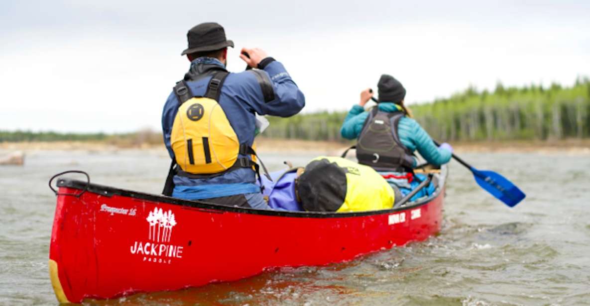 Yellowknife Bay: Guided Canoe and Kayak Tour - Experience Highlights