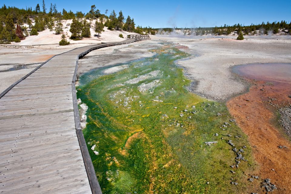 Yellowstone National Park: Old Faithful Self-Guided Tour - Tour Highlights