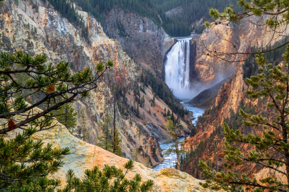Yellowstone: Old Faithful, Waterfalls, and Wildlife Day Tour - Wildlife Spotting Opportunities
