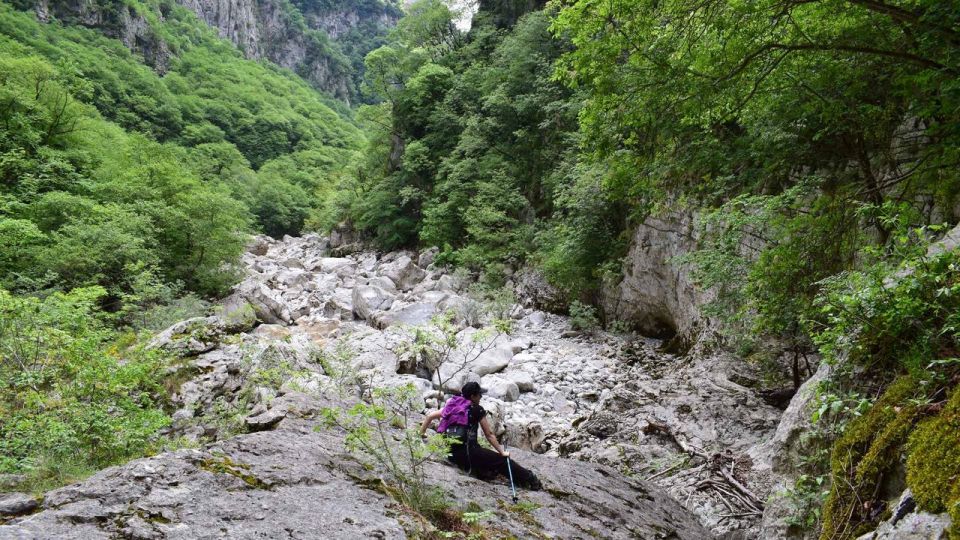 Zagori: Hiking In Vikos Gorge - Gorge Exploration