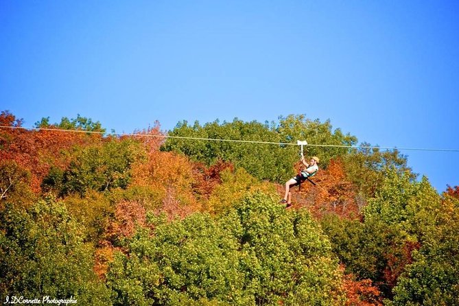 Ziplines Over Laurentian Mountains at Mont-Catherine - Excursion Highlights