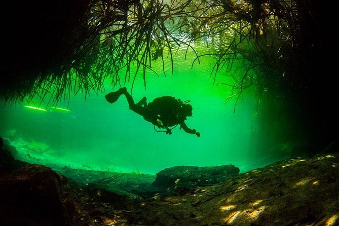 2 Tanks Cenote Diving Adventure in Tulum for Certified Divers - Safety Precautions
