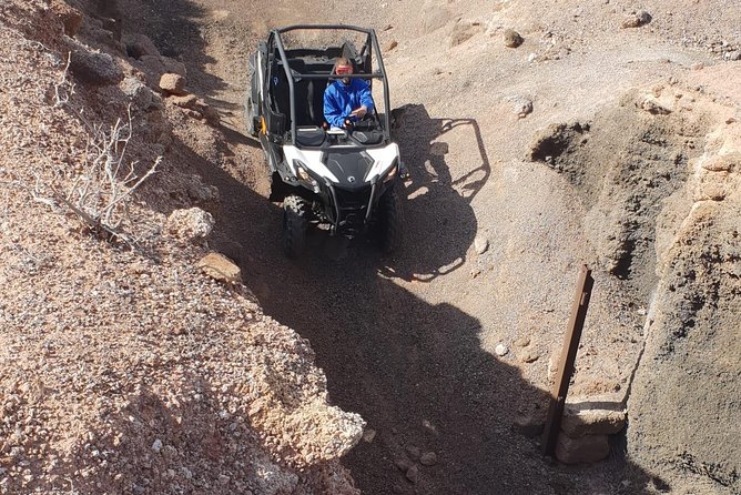 2h Buggy Tour Guided by the North of Lanzarote - Additional Information