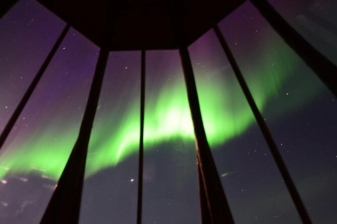 3-Day Guided Tour to Yellowknife Aurora Viewing - Professional Tour Guides and Transportation