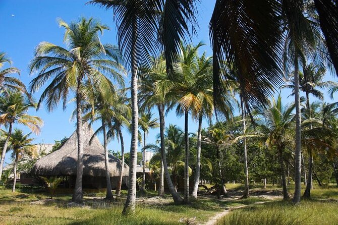 5 Islands Tour With Snorkel, Snack, Lunch and Music in Cartagena - Additional Information and Resources