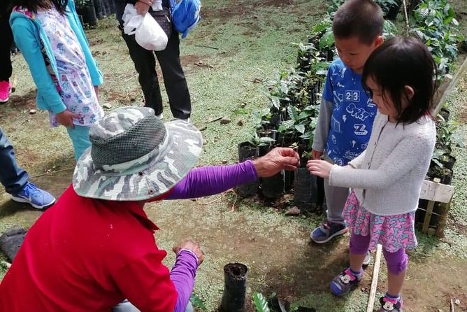 A Taste of Aquiares - 2 Hours Coffee Tour - Coffee Tasting Experience