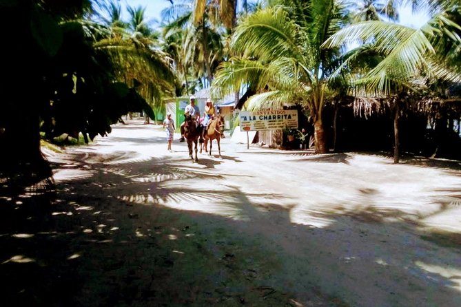 Acapulco Beach Horseback Riding Tour With Baby Turtle Release - Tour Activities Included