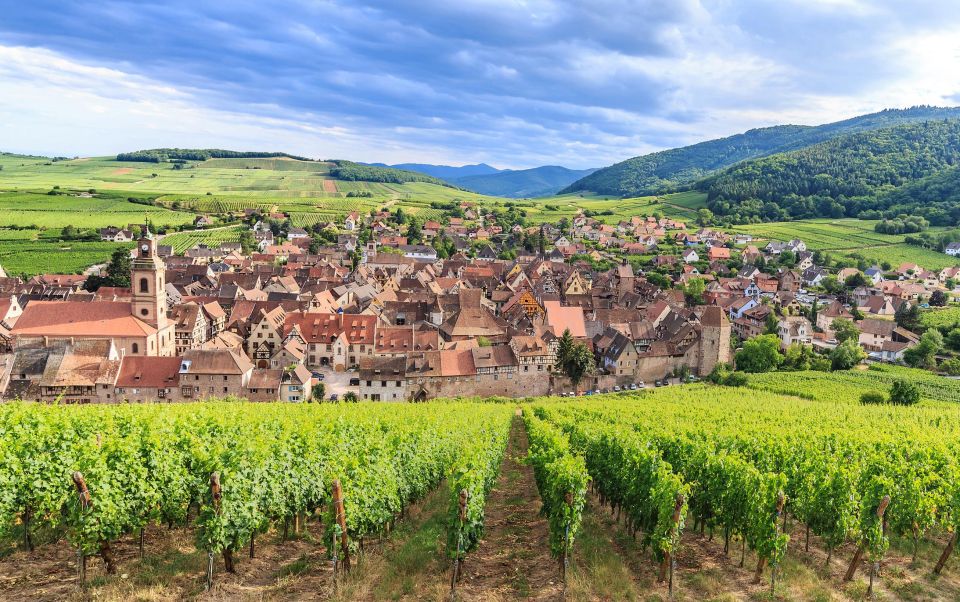 Alsace Wine Odyssey: Full-Day Private Tour From Strasbourg - Full Description