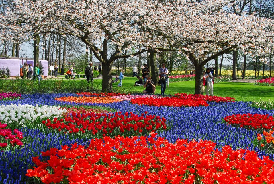 Amsterdam: Canal Cruise & Keukenhof Ticket With Shuttle Bus - Logistics and Meeting Point