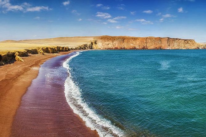 Ballestas Islands and Paracas Reserve From San Martin Port - Tour Policies and Additional Information